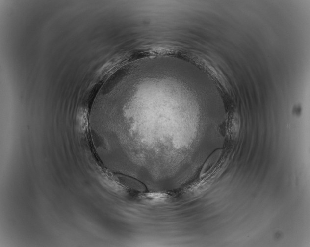 X0000101160478200806271014