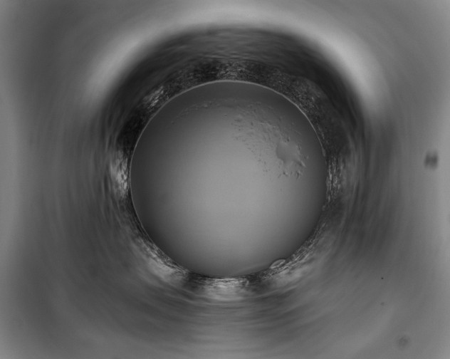 X0000101160479200806271014