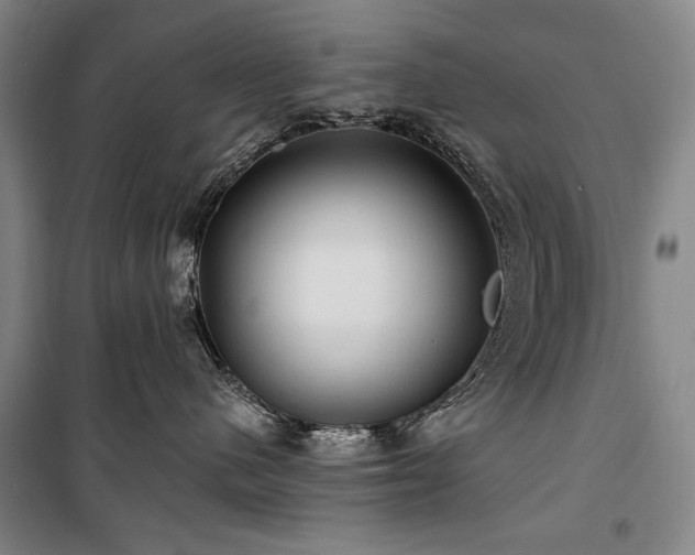 X0000101160480200806271014