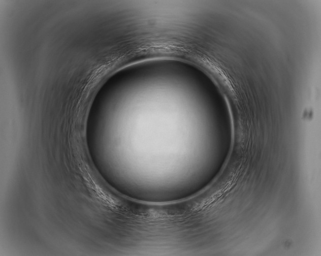 X0000101160481200806271013