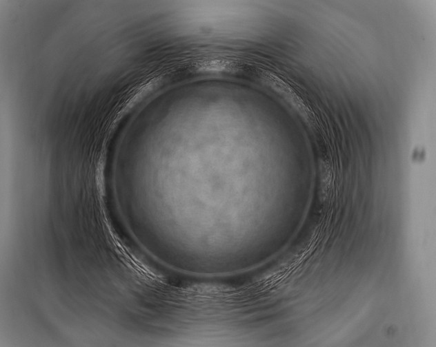 X0000101160482200806271013