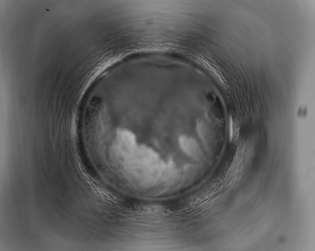 X0000101160483200806271013