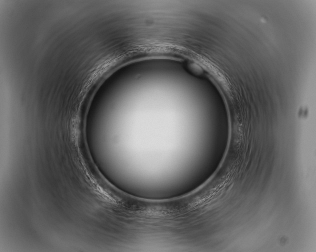 X0000101160485200806271013