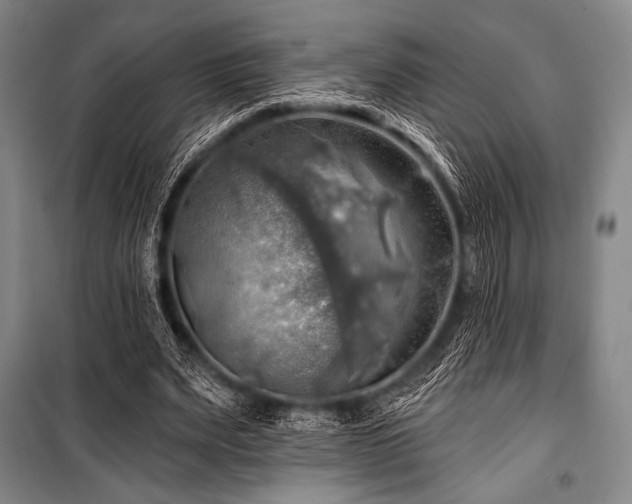 X0000101160487200806271013