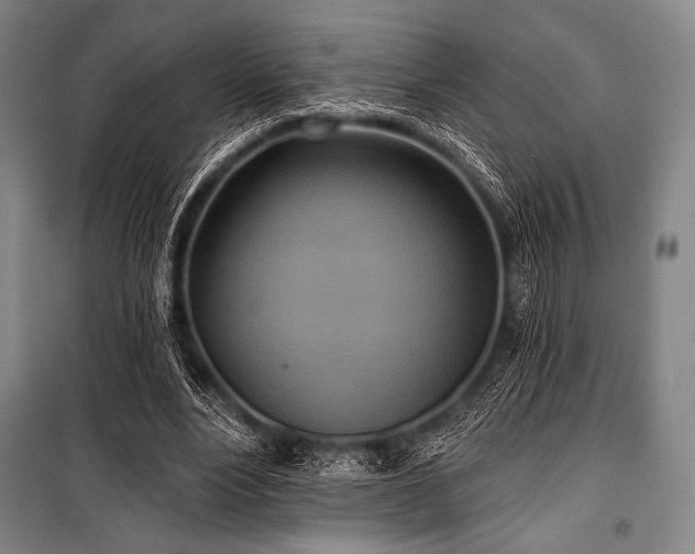 X0000101160488200806271013