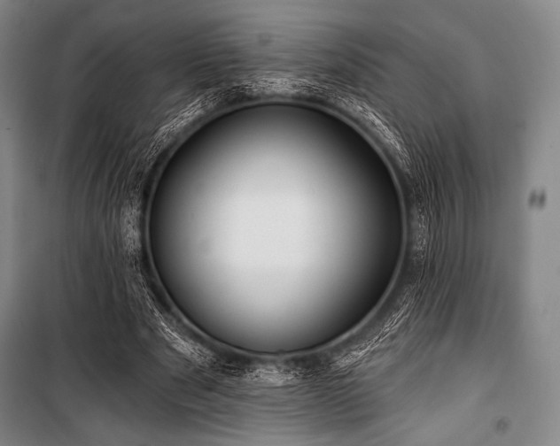 X0000101160489200806271013