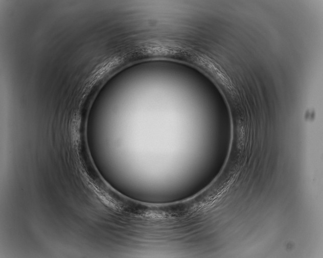X0000101160490200806271013