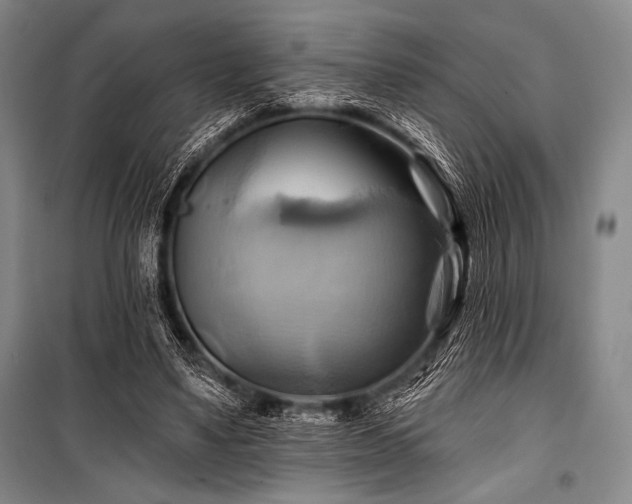 X0000101160491200806271013