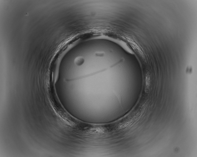 X0000101160492200806271013
