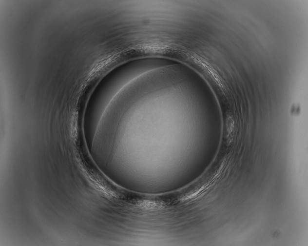 X0000101160494200806271013