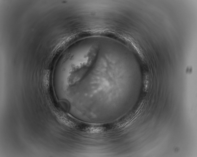 X0000101160495200806271013
