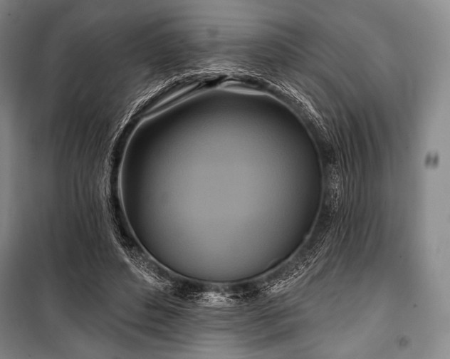 X0000101160496200806271013