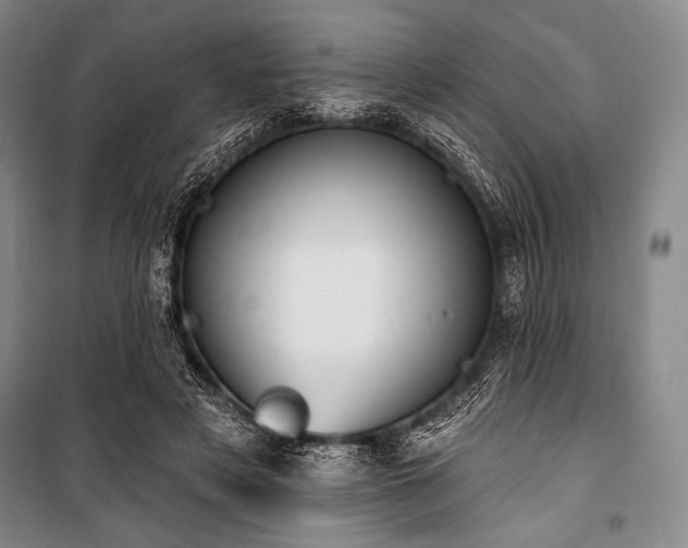 X0000101160497200806271013