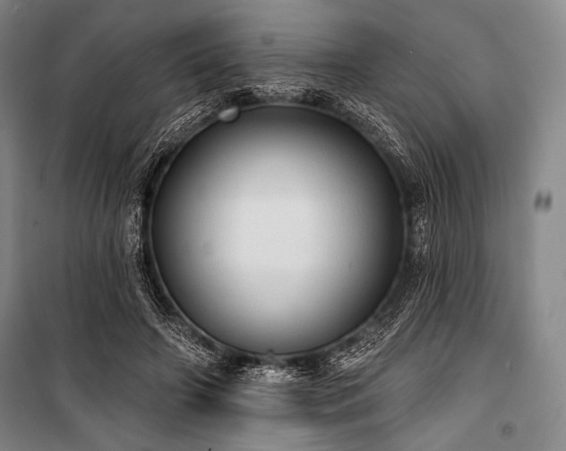 X0000101160498200806271013