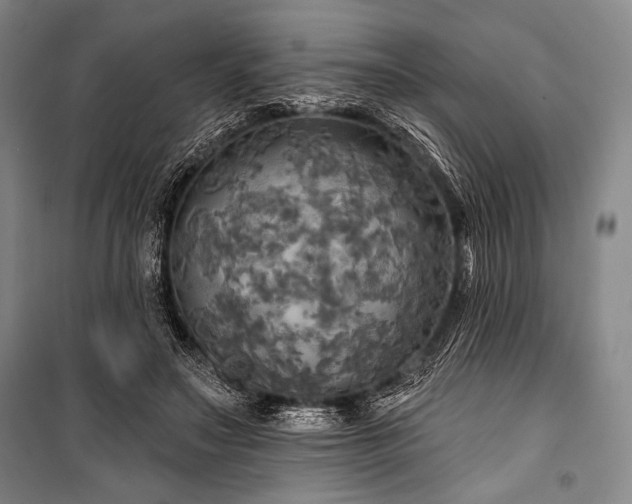 X0000101160499200806271013