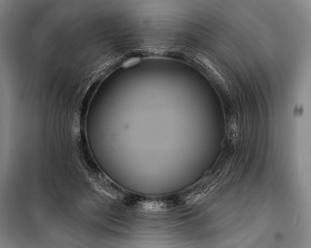 X0000101160500200806271013