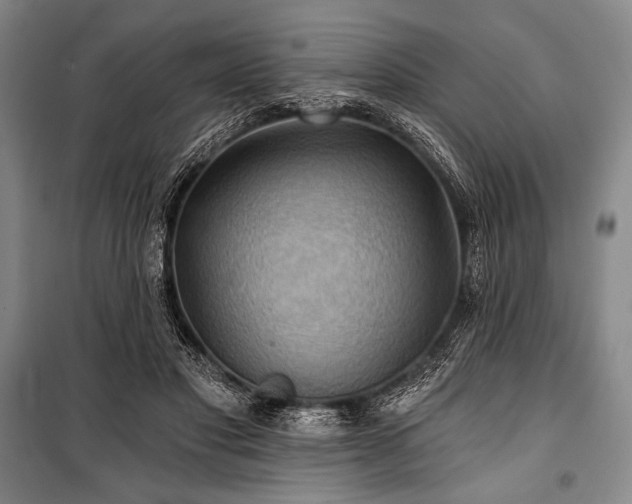 X0000101160501200806271013