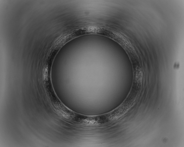 X0000101160502200806271013