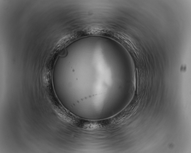 X0000101160503200806271013