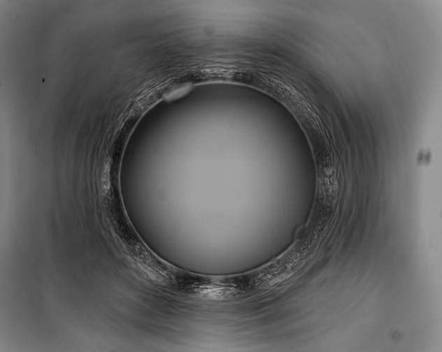 X0000101160504200806271013