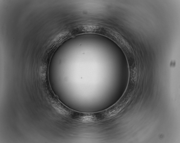 X0000101160505200806271013