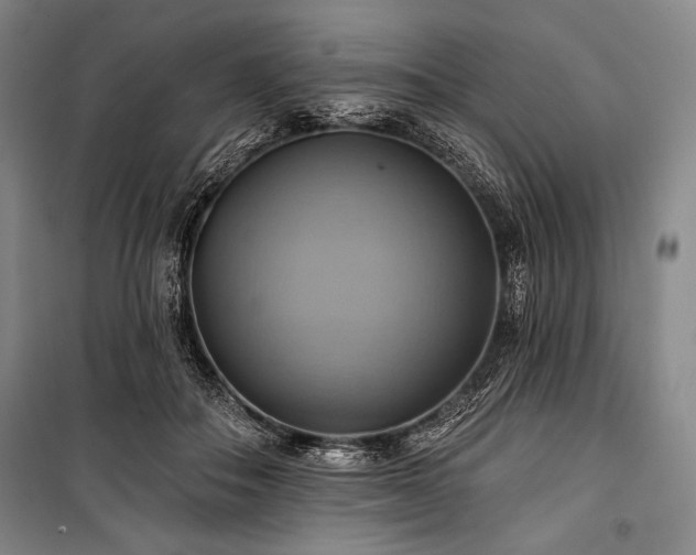 X0000101160506200806271013