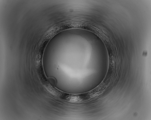X0000101160507200806271013