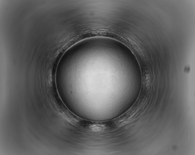 X0000101160508200806271013