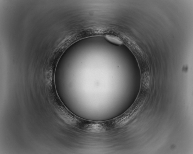 X0000101160509200806271013