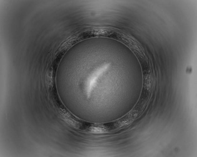 X0000101160510200806271013