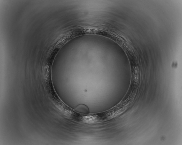 X0000101160511200806271012