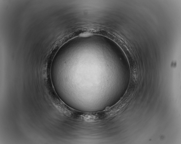 X0000101160512200806271012