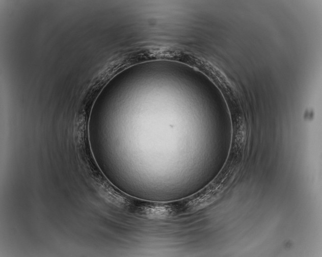 X0000101160513200806271012