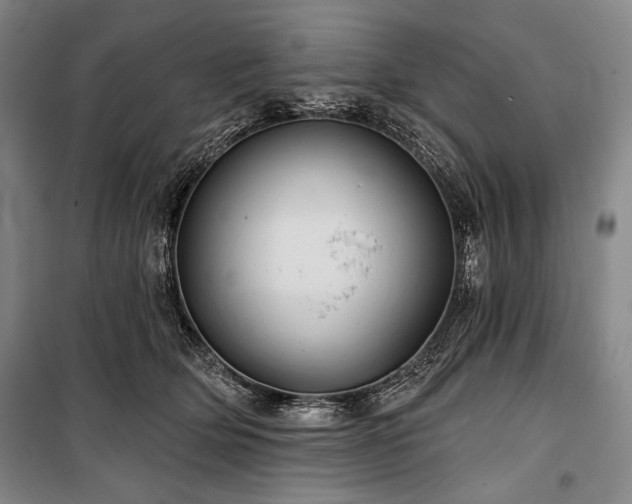 X0000101160514200806271012