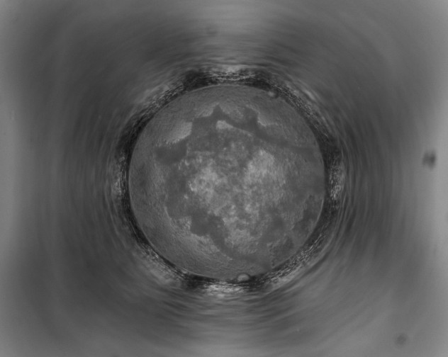 X0000101160515200806271012