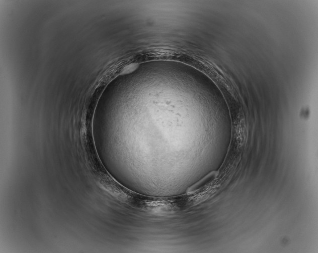 X0000101160516200806271012