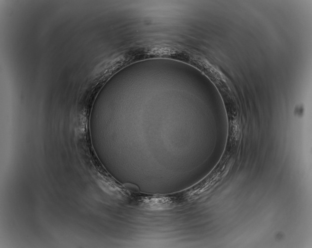 X0000101160517200806271012