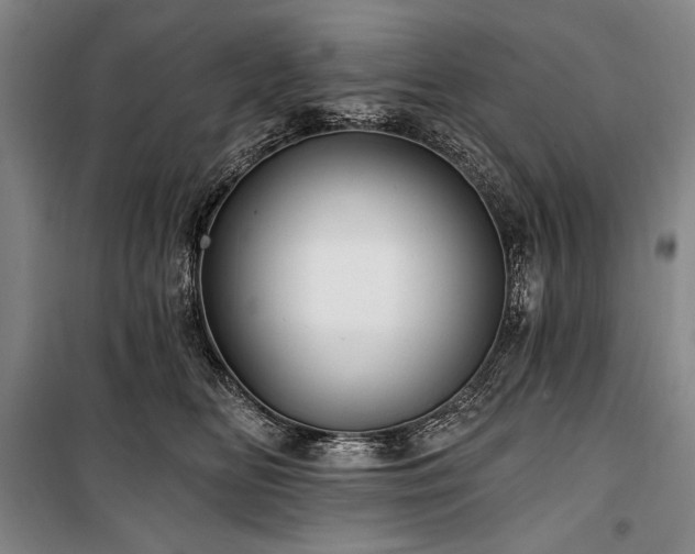 X0000101160518200806271012