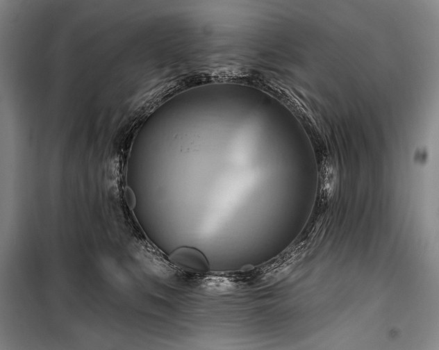 X0000101160519200806271012