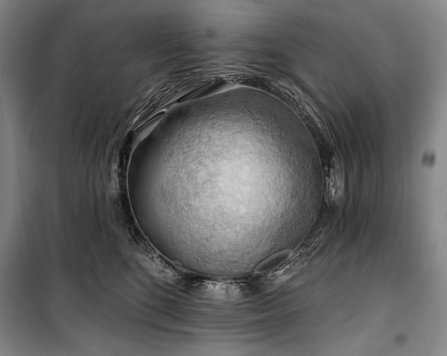 X0000101160520200806271012