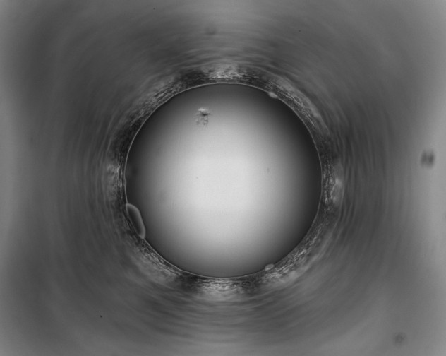 X0000101160521200806271012