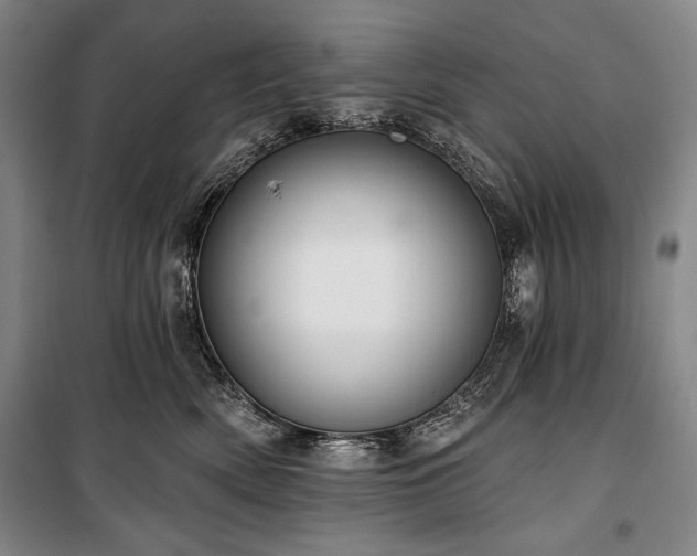 X0000101160522200806271012