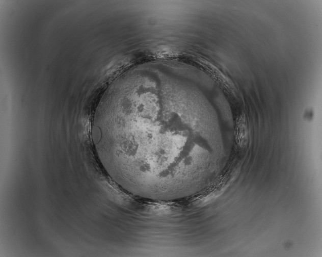 X0000101160523200806271012