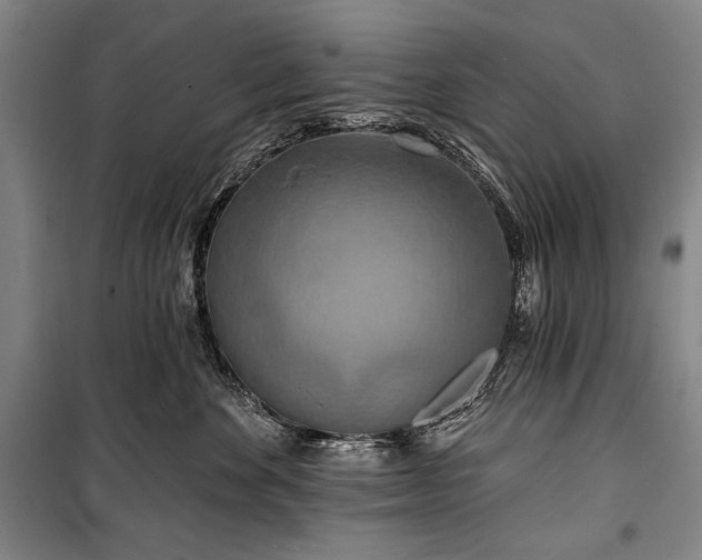 X0000101160524200806271012