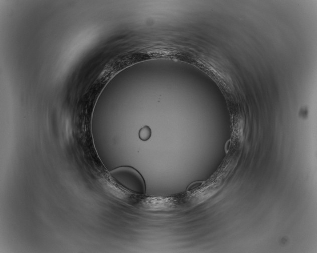 X0000101160526200806271012