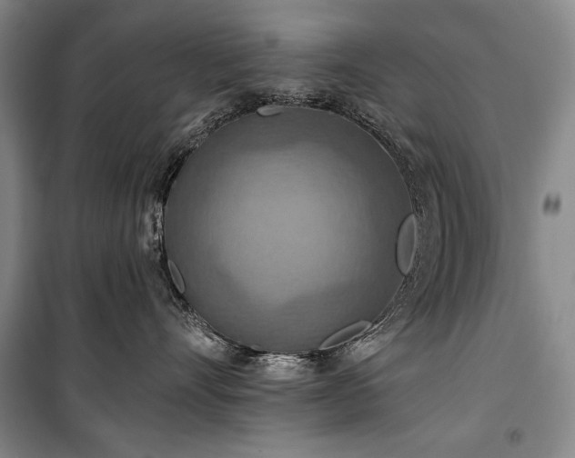 X0000101160528200806271012