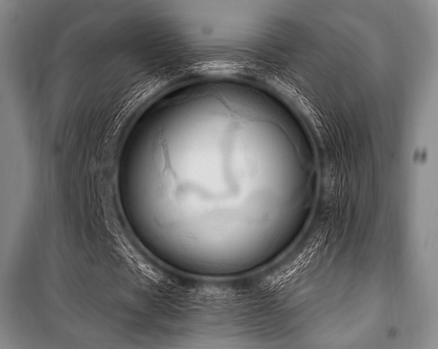 X0000101160529200806271012