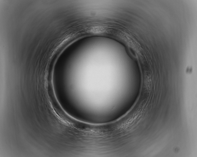 X0000101160530200806271012