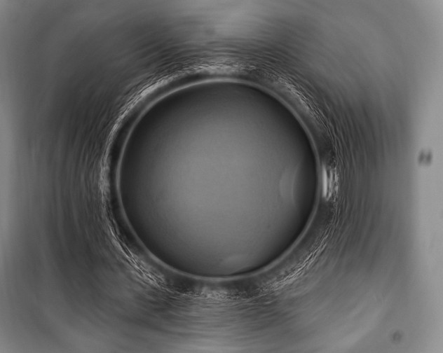 X0000101160531200806271012