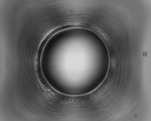 X0000101160532200806271012